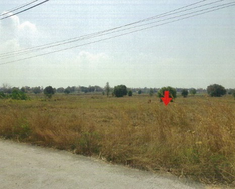 รูปที่ดินว่างเปล่า สงเปลือย นามน กาฬสินธุ์