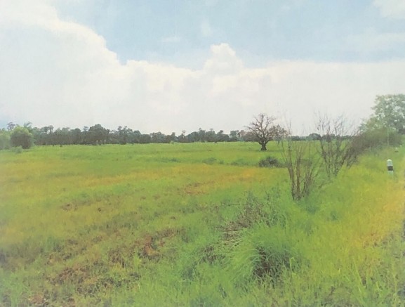 รูปที่ดินว่างเปล่า บ้านธาตุ เพ็ญ อุดรธานี