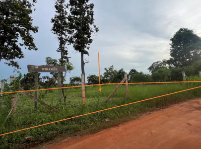 รูปที่ดินว่างเปล่า โพธิ์ใหญ่ วารินชำราบ อุบลราชธานี