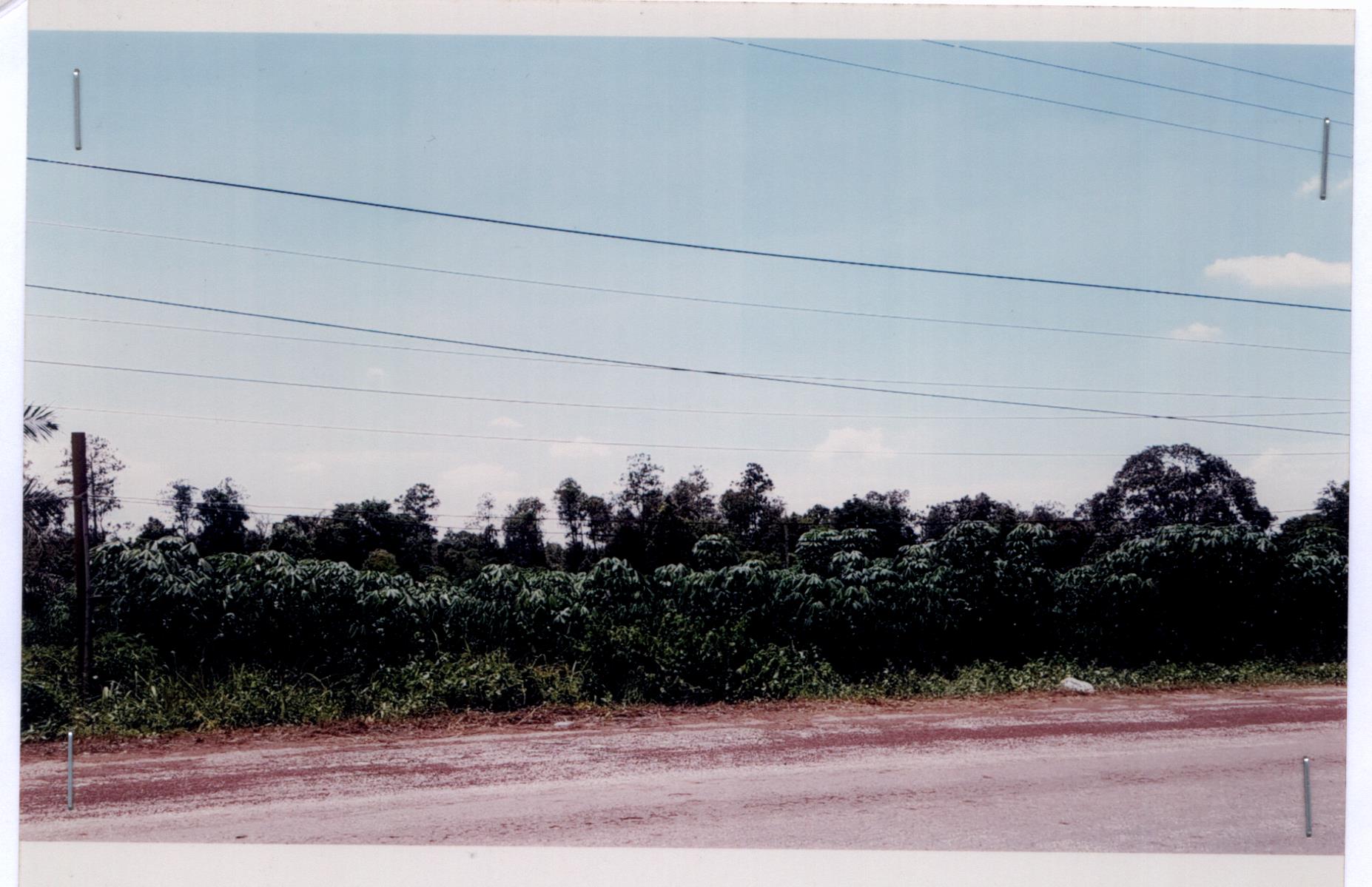 รูปที่ดินว่างเปล่า หนองเม็ก หนองหาน อุดรธานี