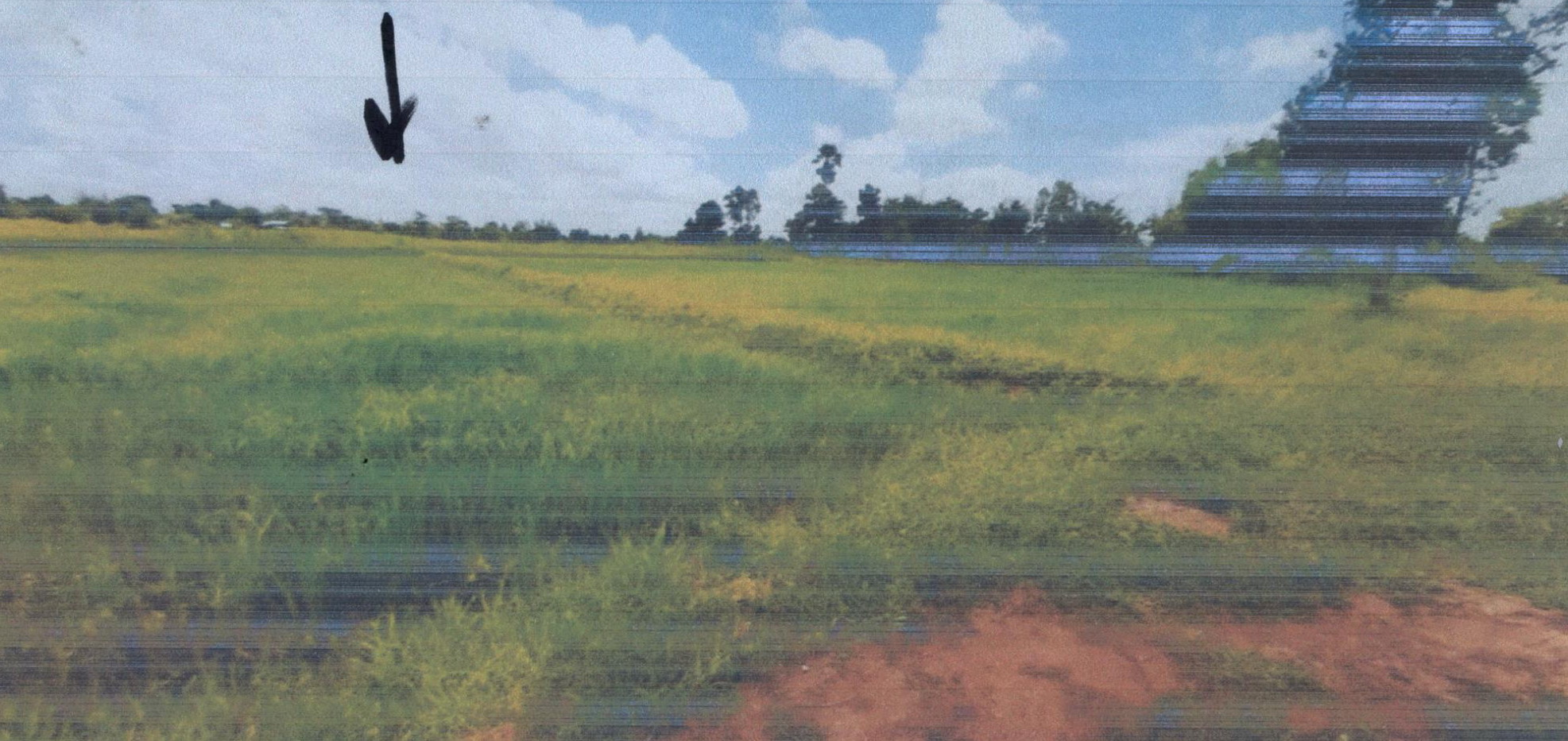 รูปที่ดินว่างเปล่า ไร่ใต้ พิบูลมังสาหาร อุบลราชธานี