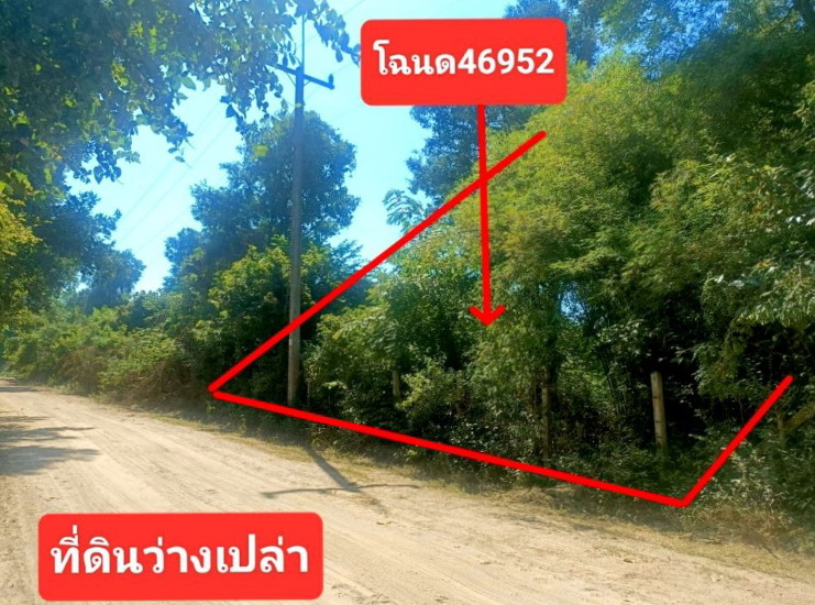 รูปที่ดินว่างเปล่า ประชาพัฒนา วาปีปทุม มหาสารคาม