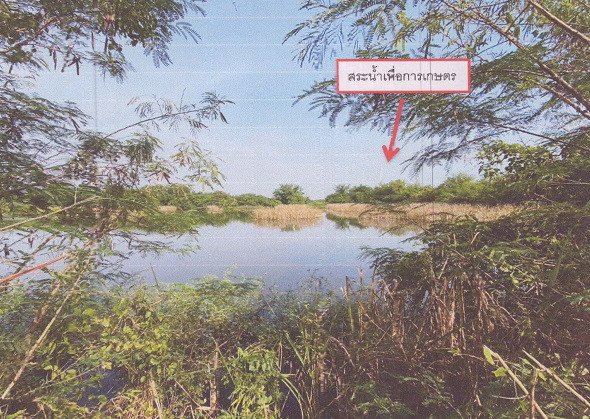 รูปที่ดินว่างเปล่า ท่าบอน ระโนด สงขลา
