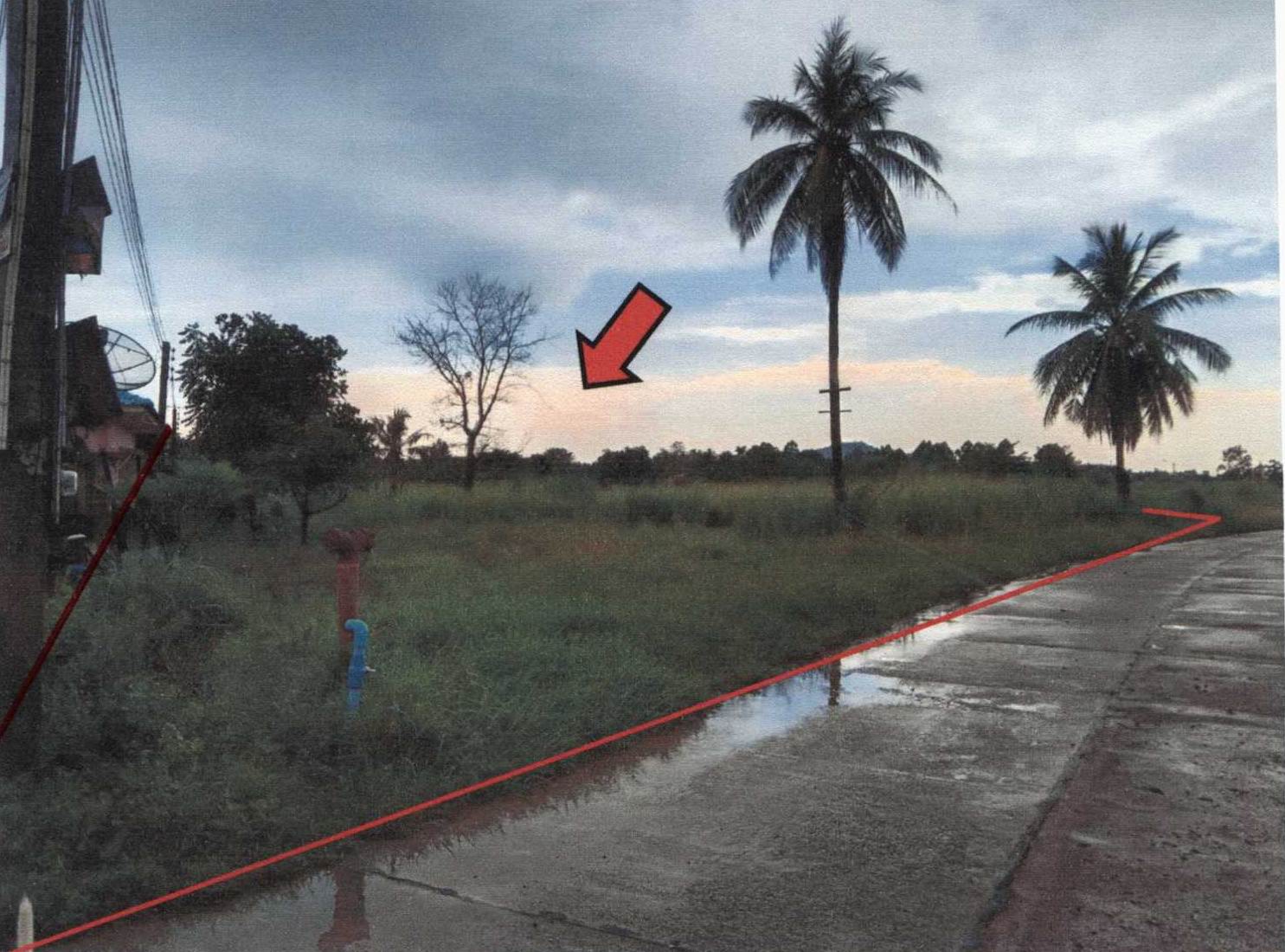 รูปที่ดินว่างเปล่า บางพระ ศรีราชา ชลบุรี