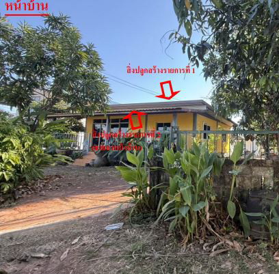 รูปที่ดินพร้อมสิ่งปลูกสร้าง สุมเส้า เพ็ญ อุดรธานี