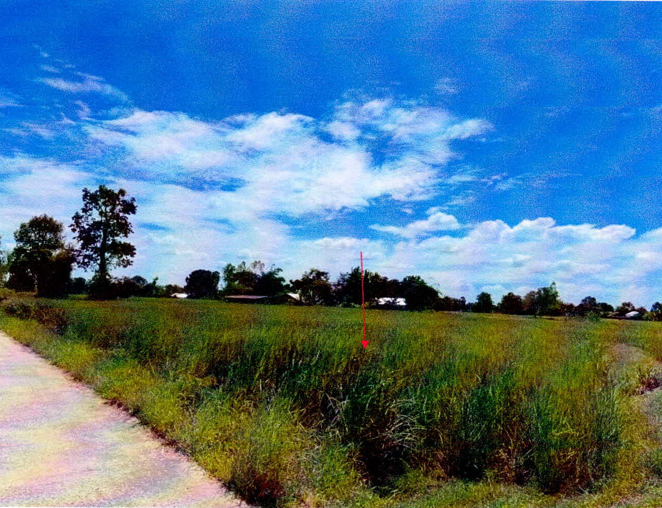 รูปที่ดินว่างเปล่า โพนข่า เมืองศรีสะเกษ ศรีสะเกษ