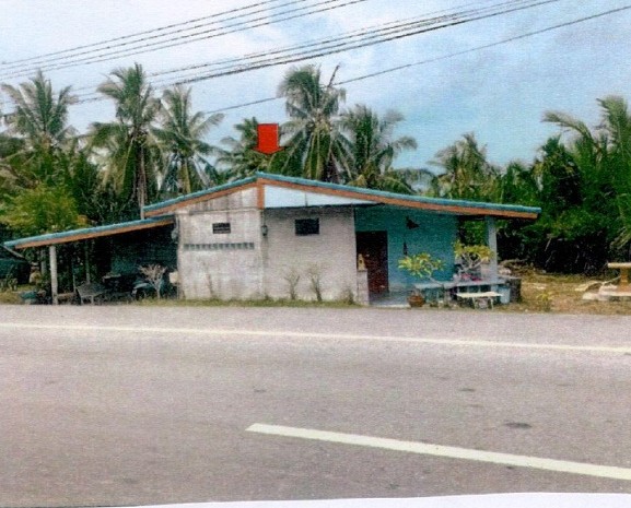 รูปที่ดินพร้อมสิ่งปลูกสร้าง หูล่อง ปากพนัง นครศรีธรรมราช