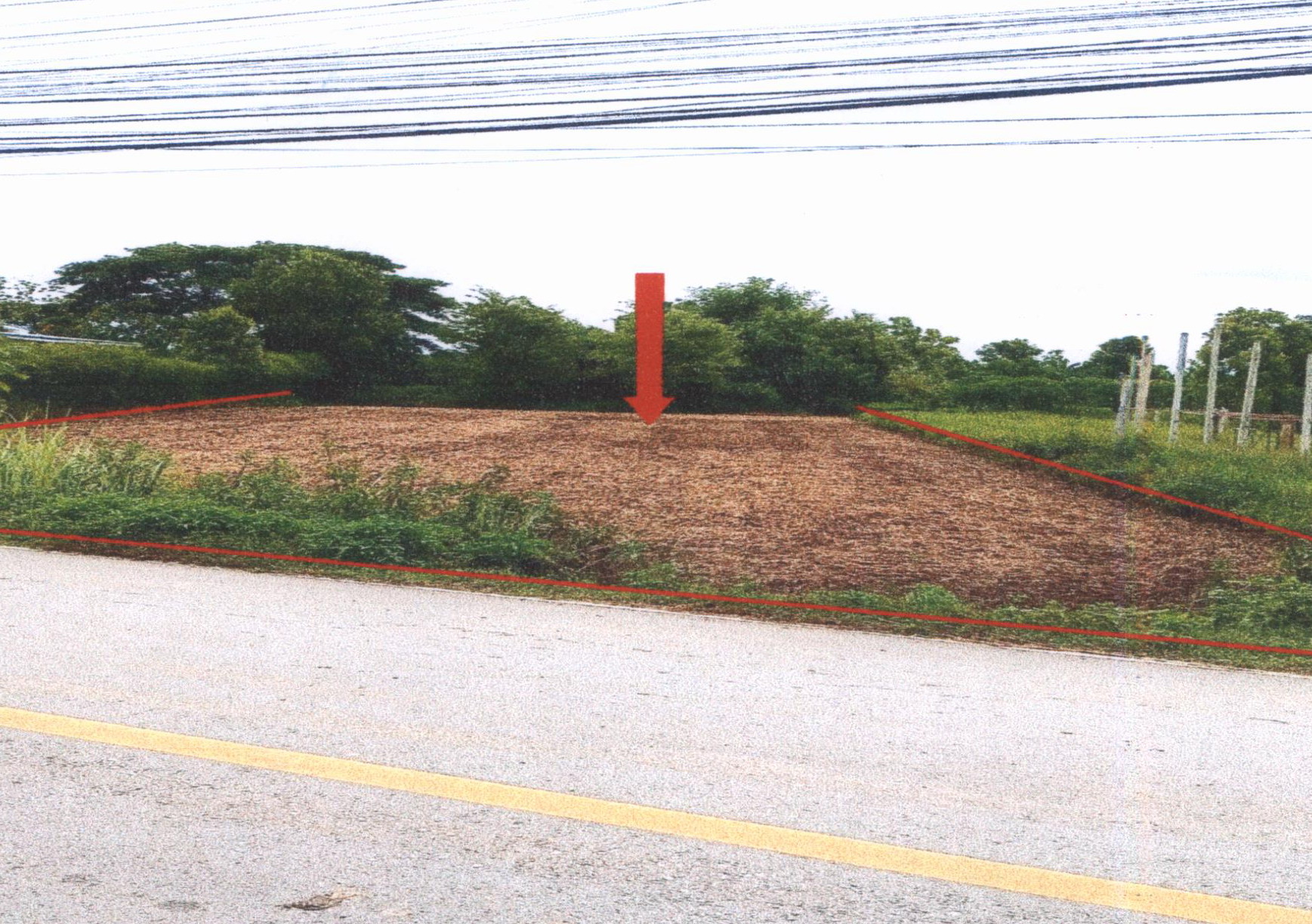 รูปที่ดินว่างเปล่า วังธง เมืองแพร่ แพร่