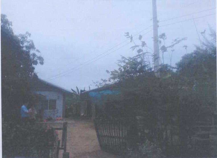 รูปที่ดินพร้อมสิ่งปลูกสร้าง ธาตุทอง ภูเขียว ชัยภูมิ