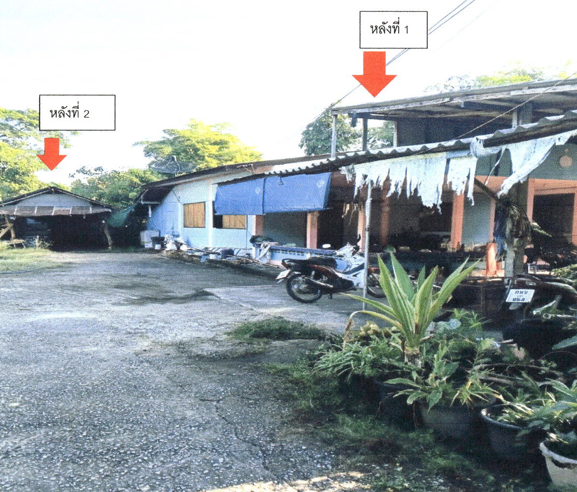 รูปที่ดินพร้อมสิ่งปลูกสร้าง ร่องฟอง เมืองแพร่ แพร่