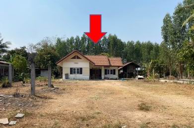 รูปที่ดินพร้อมสิ่งปลูกสร้าง บ้านแพ คูเมือง บุรีรัมย์