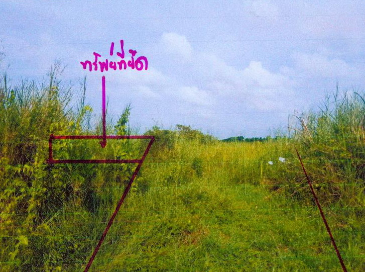 รูปที่ดินว่างเปล่า ปากนคร เมืองนครศรีธรรมราช นครศรีธรรมราช