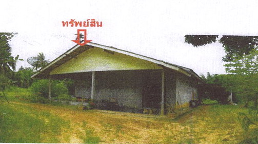 รูปที่ดินพร้อมสิ่งปลูกสร้าง เกาะกลาง เกาะลันตา กระบี่