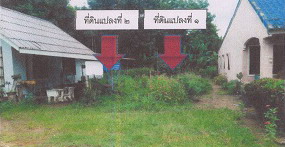 รูปที่ดินว่างเปล่า ท่าพญา ปะเหลียน ตรัง