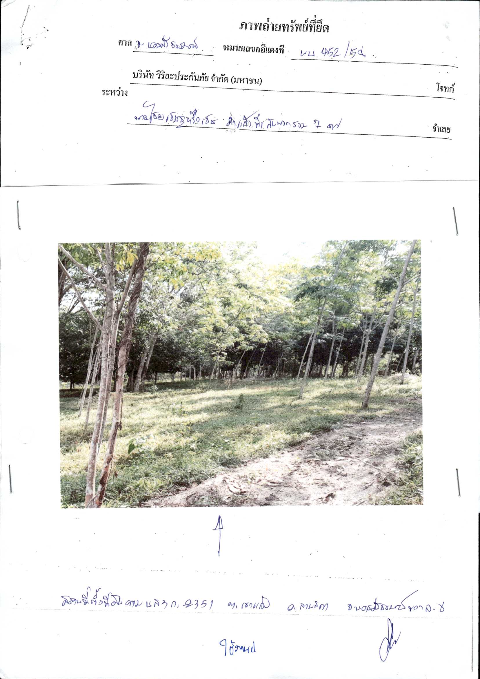 รูปที่ดินว่างเปล่า เขาแก้ว ลานสกา นครศรีธรรมราช