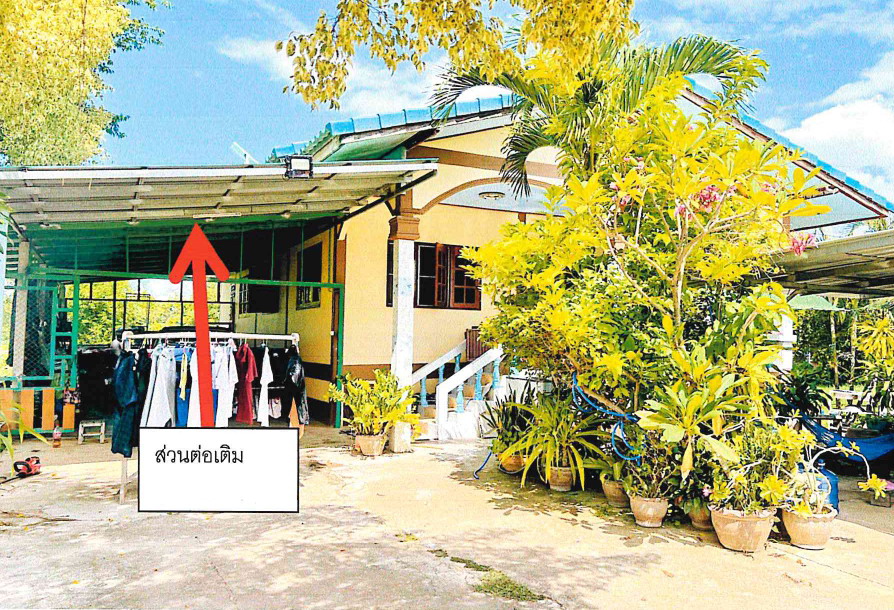 รูปที่ดินพร้อมสิ่งปลูกสร้าง หนองบัว ศรีนคร สุโขทัย