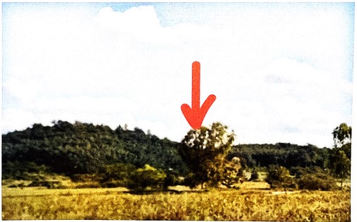 รูปที่ดินว่างเปล่า ดอยลาน เมืองเชียงราย เชียงราย