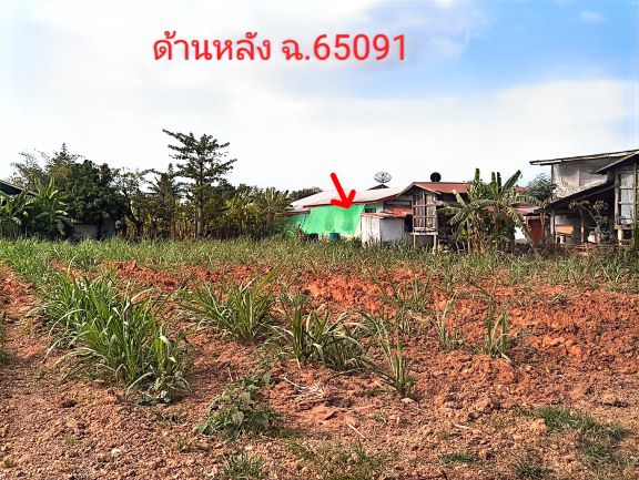รูปที่ดินพร้อมสิ่งปลูกสร้าง บงใต้ สว่างแดนดิน สกลนคร