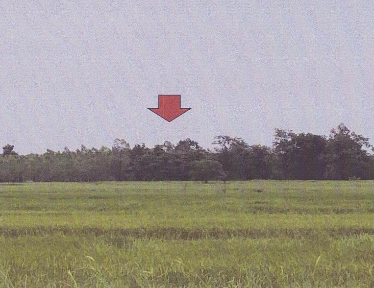 รูปที่ดินว่างเปล่า ดงเย็น เมืองมุกดาหาร มุกดาหาร