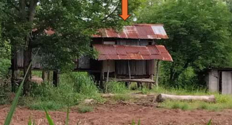 รูปที่ดินพร้อมสิ่งปลูกสร้าง นาขอม ไพศาลี นครสวรรค์
