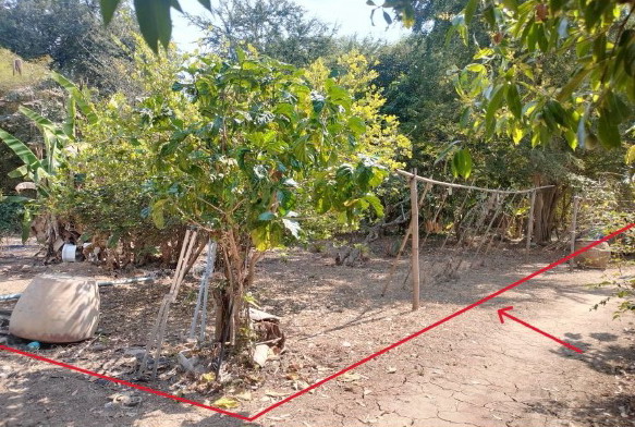 รูปที่ดินว่างเปล่า เขาทราย ทับคล้อ พิจิตร