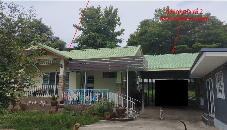 รูปที่ดินพร้อมสิ่งปลูกสร้าง หนองยาว เมืองสระบุรี สระบุรี