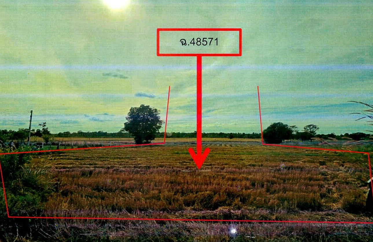 รูปที่ดินว่างเปล่า โคกยาง ปราสาท สุรินทร์