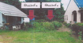 รูปที่ดินว่างเปล่า ท่าพญา ปะเหลียน ตรัง