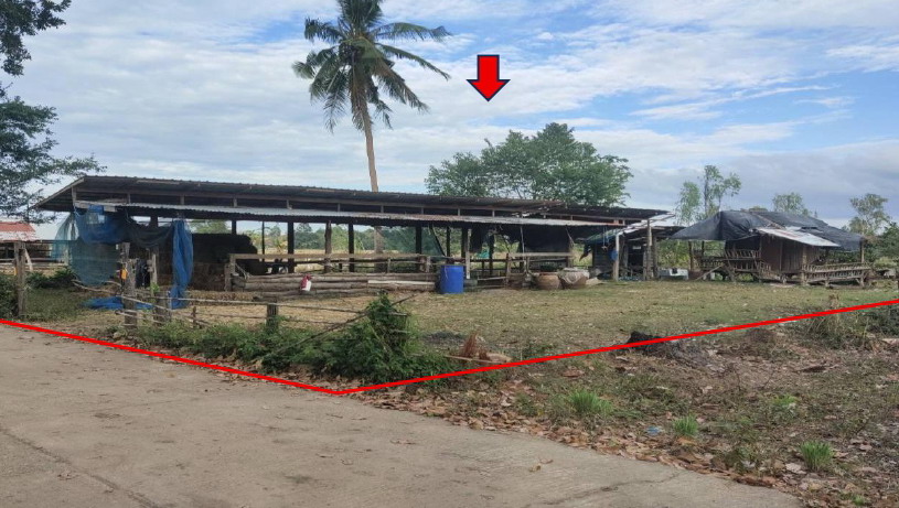 รูปที่ดินว่างเปล่า สะพุง ศรีรัตนะ ศรีสะเกษ