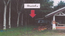 รูปที่ดินว่างเปล่า ท่าพญา ปะเหลียน ตรัง