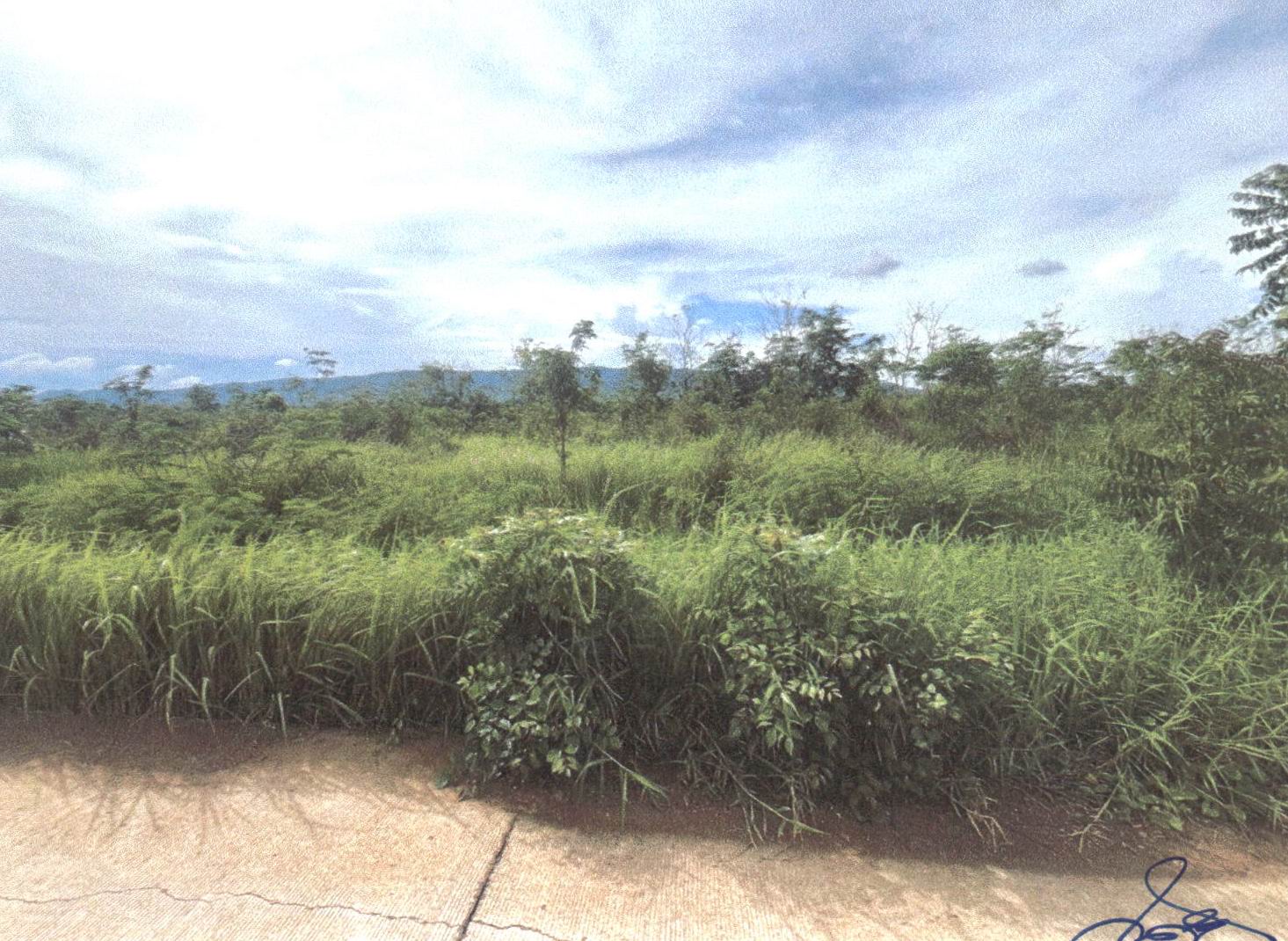 รูปที่ดินว่างเปล่า ทุ่งยั้ง ลับแล อุตรดิตถ์