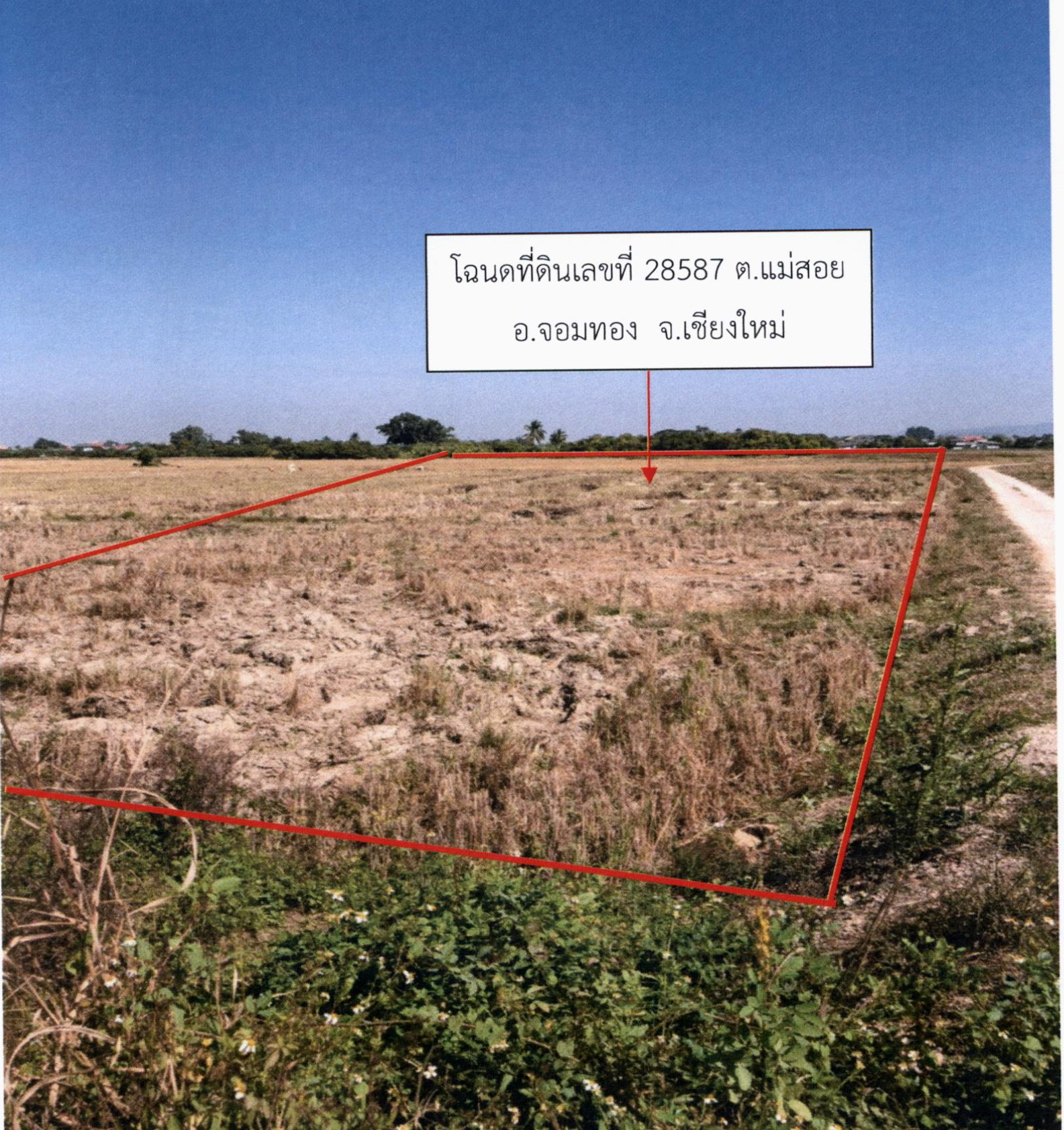 รูปที่ดินว่างเปล่า แม่สอย จอมทอง เชียงใหม่