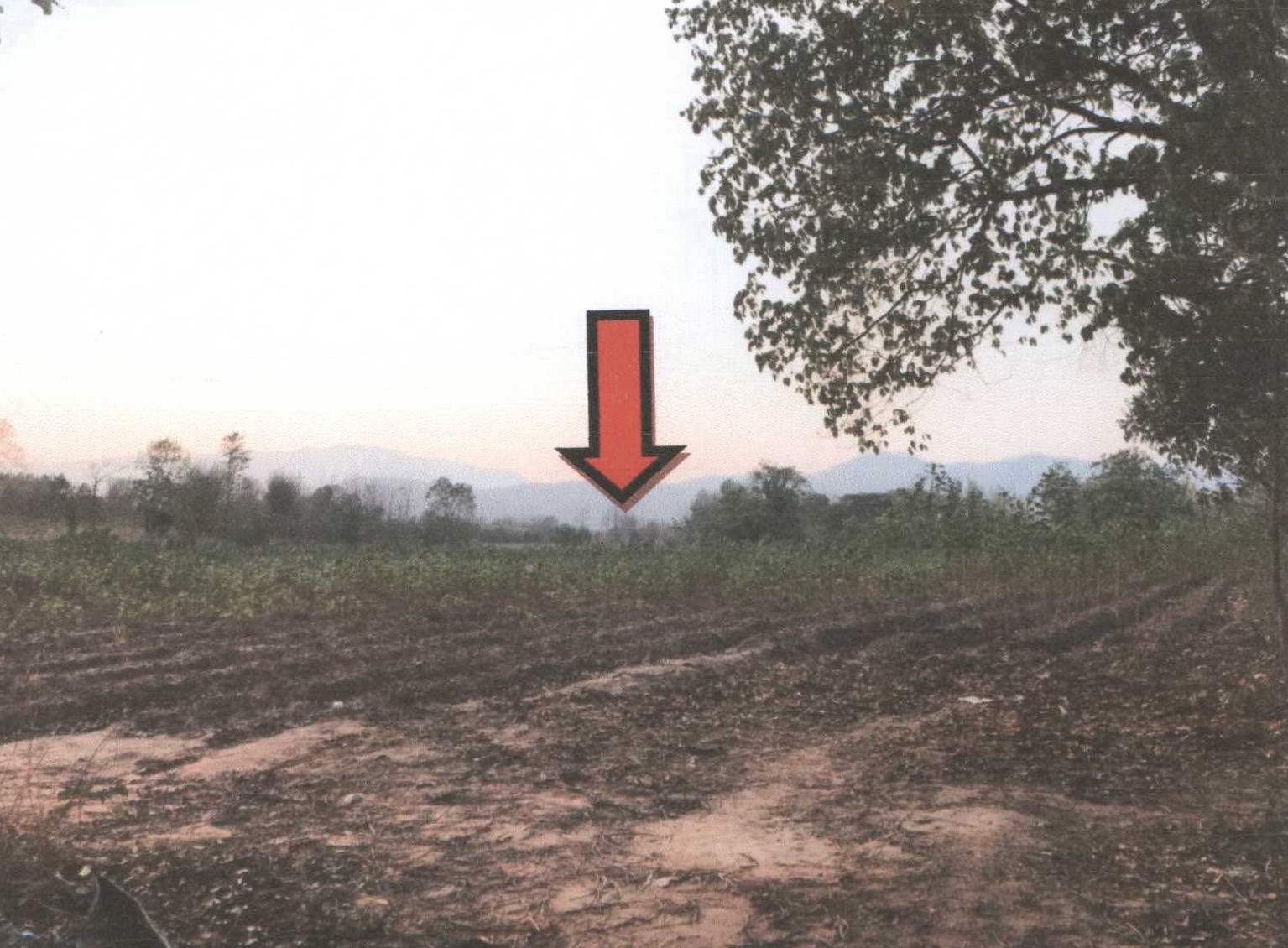 รูปที่ดินว่างเปล่า บ้านฝาย น้ำปาด อุตรดิตถ์