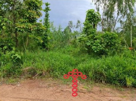 รูปที่ดินว่างเปล่า บ้านจั่น เมืองอุดรธานี อุดรธานี