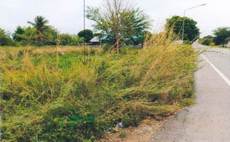 รูปที่ดินว่างเปล่า กลางหมื่น เมืองกาฬสินธุ์ กาฬสินธุ์