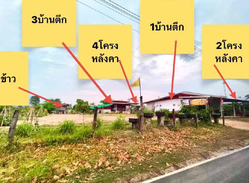 รูปที่ดินพร้อมสิ่งปลูกสร้าง ดงยาง นาดูน มหาสารคาม