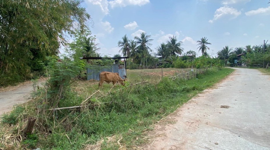 รูปที่ดินพร้อมสิ่งปลูกสร้าง ท่าสองคอน เมืองมหาสารคาม มหาสารคาม