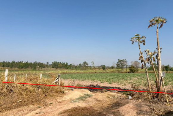 รูปที่ดินว่างเปล่า นายูง ศรีธาตุ อุดรธานี
