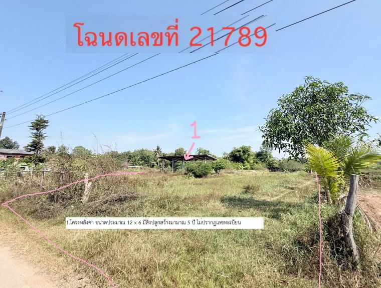 รูปที่ดินพร้อมสิ่งปลูกสร้าง เหล่าใหญ่ กุฉินารายณ์ กาฬสินธุ์