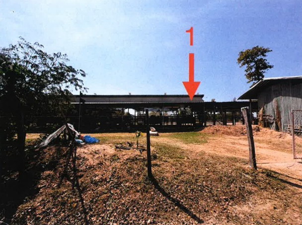 รูปที่ดินพร้อมสิ่งปลูกสร้าง หนองบอน โกสุมพิสัย มหาสารคาม