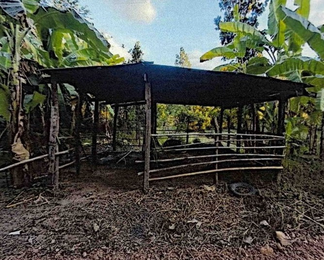 รูปที่ดินพร้อมสิ่งปลูกสร้าง โคกงาม บ้านฝาง ขอนแก่น