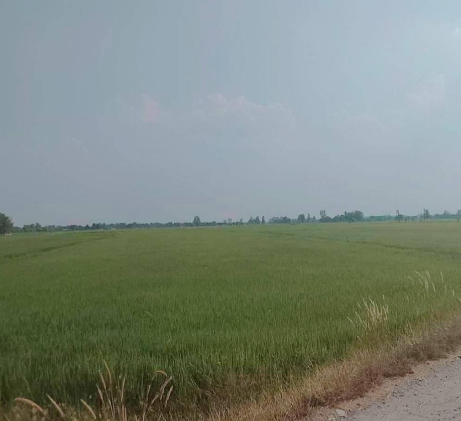 รูปที่ดินว่างเปล่า โพนทอง เชียงยืน มหาสารคาม