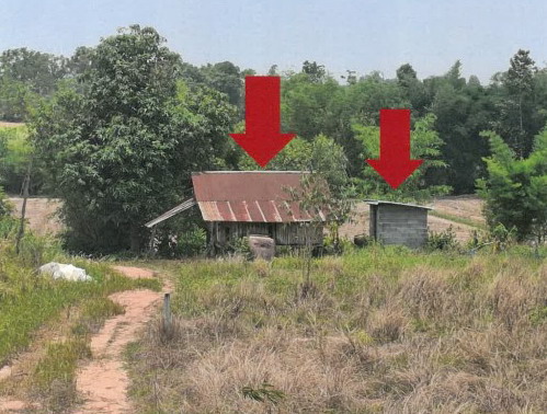 รูปที่ดินพร้อมสิ่งปลูกสร้าง สามขา กุฉินารายณ์ กาฬสินธุ์