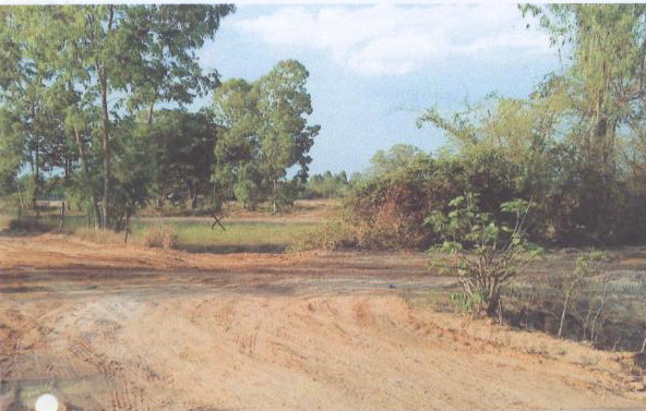 รูปที่ดินว่างเปล่า ท่าสองคอน เมืองมหาสารคาม มหาสารคาม