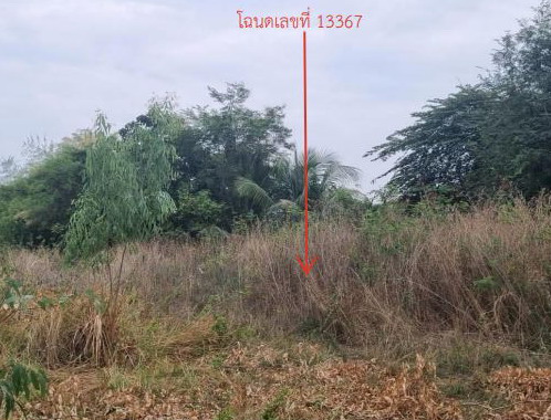 รูปที่ดินว่างเปล่า วังสามหมอ วังสามหมอ อุดรธานี