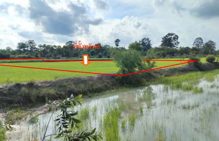 รูปที่ดินว่างเปล่า รอบเมือง เมืองร้อยเอ็ด ร้อยเอ็ด
