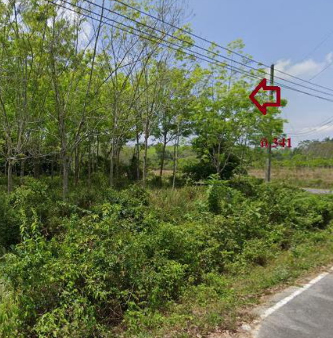 รูปที่ดินว่างเปล่า ทุ่งลาน คลองหอยโข่ง สงขลา