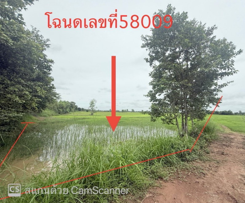 รูปที่ดินว่างเปล่า เจ้าท่า กมลาไสย กาฬสินธุ์