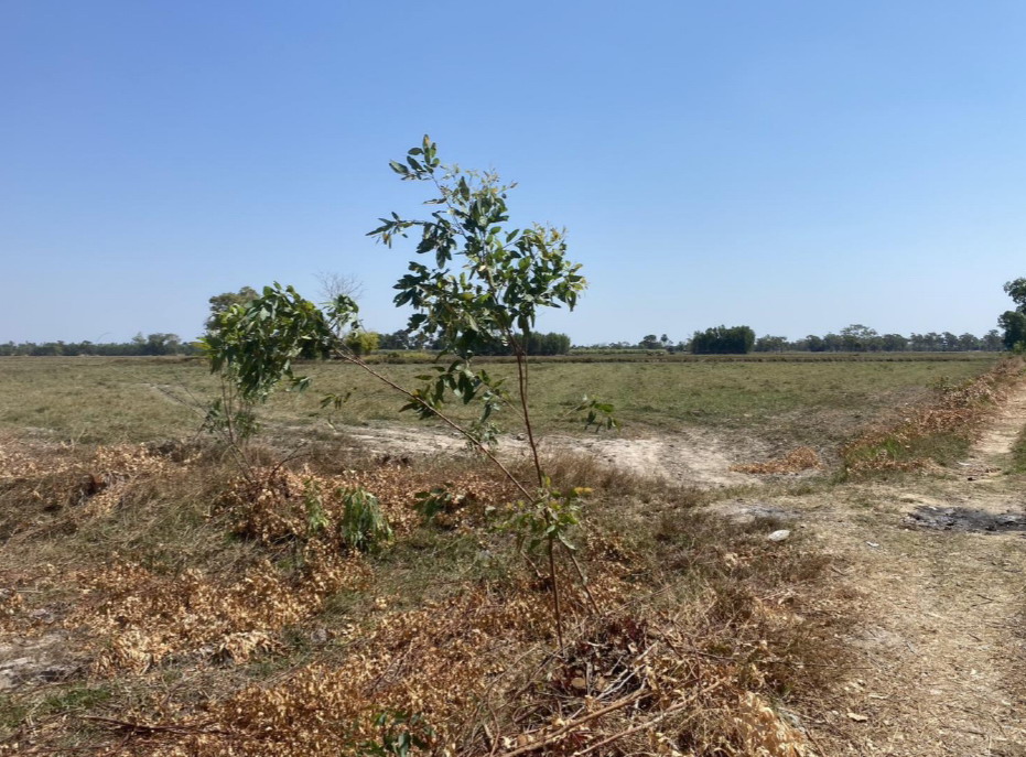 รูปที่ดินว่างเปล่า ราษฎร์เจริญ พยัคฆภูมิพิสัย มหาสารคาม