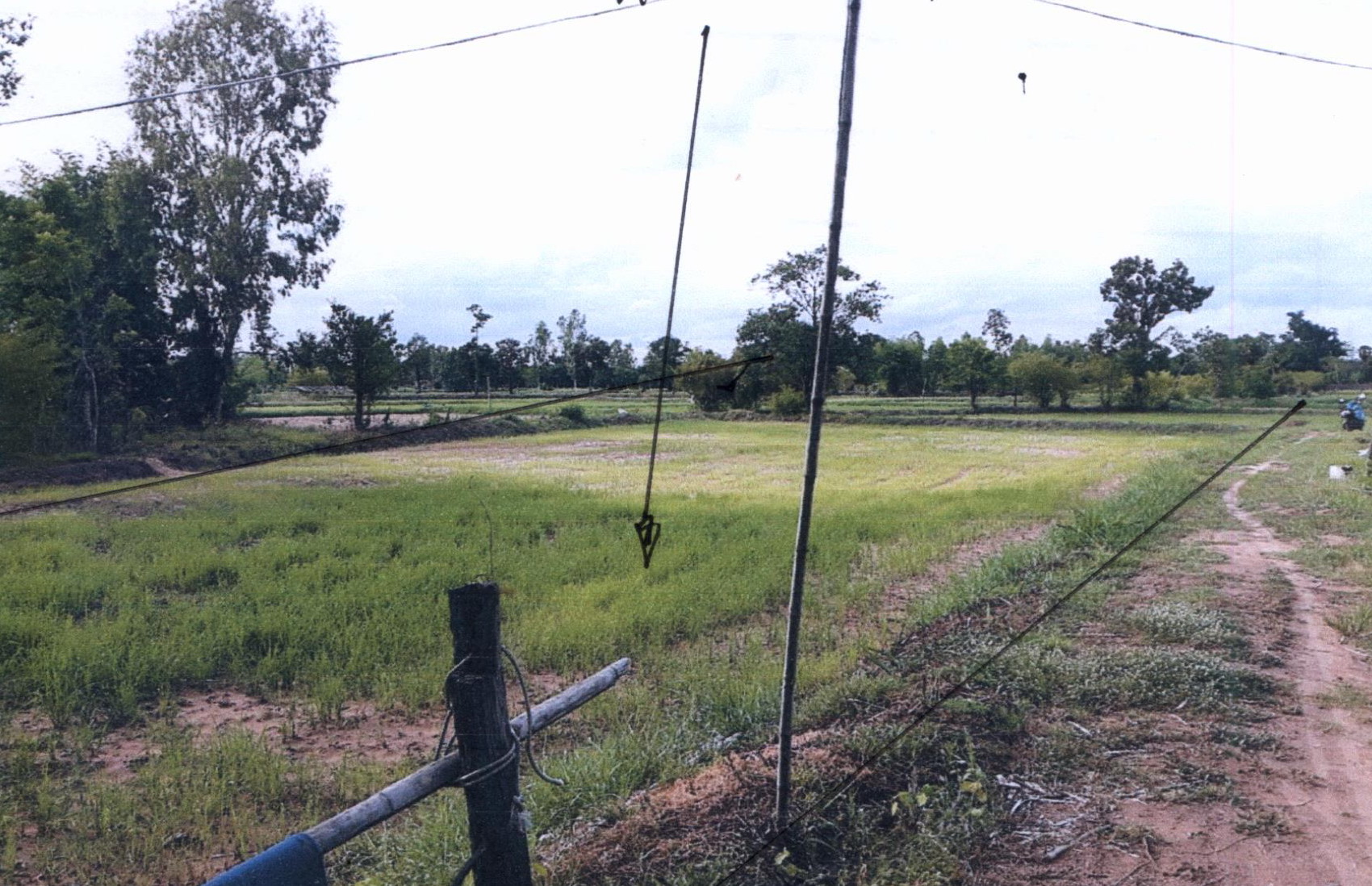 รูปที่ดินว่างเปล่า ยางสักกระโพหลุ่ม ม่วงสามสิบ อุบลราชธานี